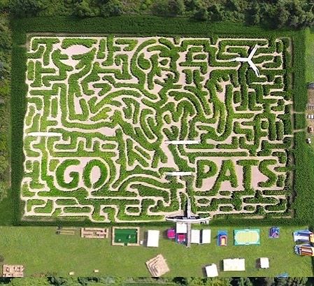 Davis corn shop maze