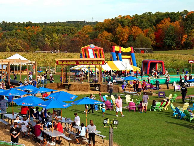 Davis deals corn maze