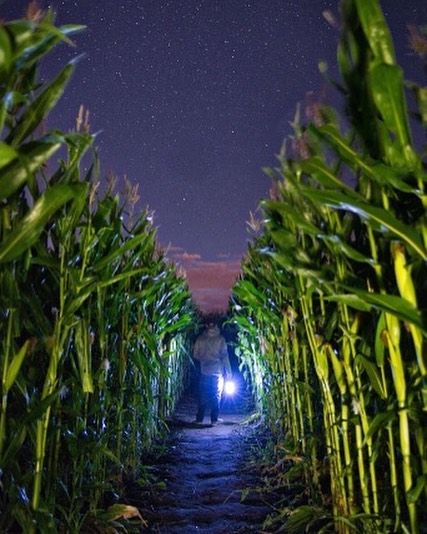 Beans Corn Haunted Greens & is Nighttime Farm The (4 Beautiful Walk bostoneventsinsider Maze stars) Nighttime - a at